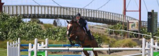 Image of Opotiki Showjumping Event